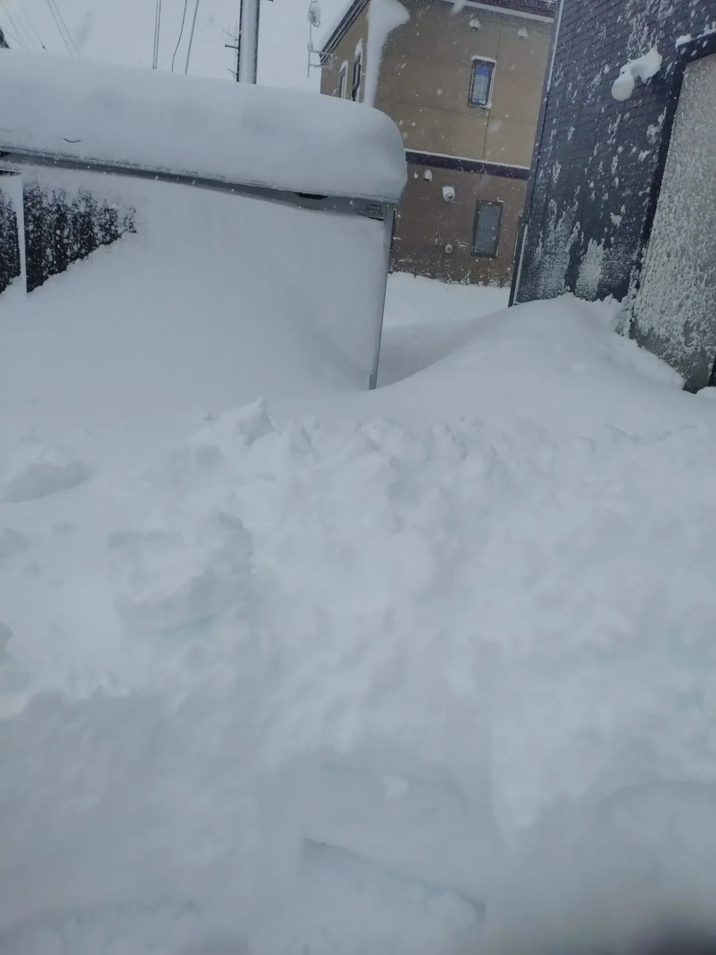 訪問看護ステーション ファミリーナースきたみ